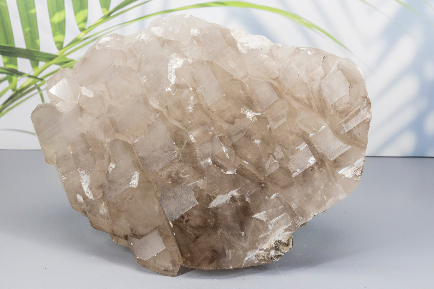 Quartz Crystal rock on a light gray surface with a blurred green plant in the background