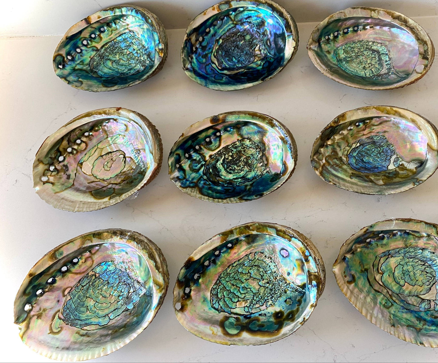 Collection of colorful abalone shells on a white surface