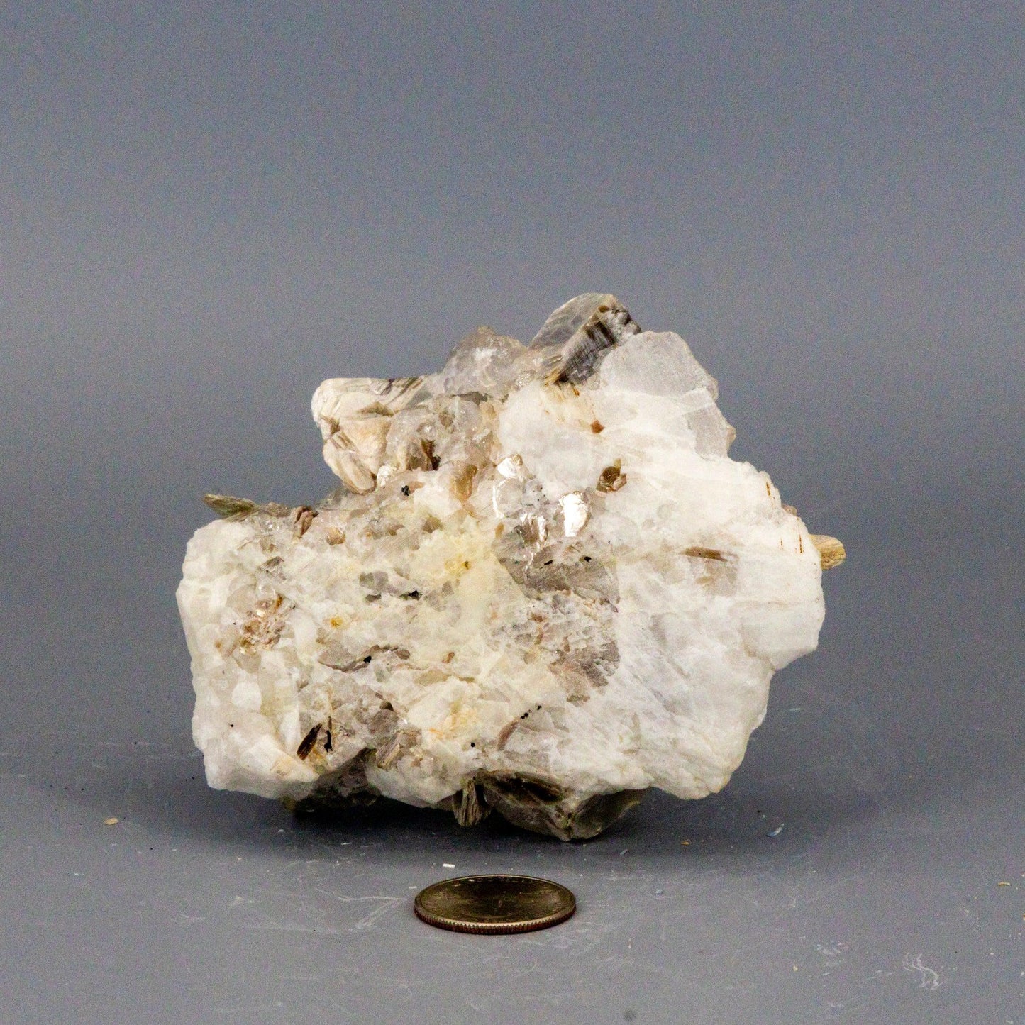 Clear quartz with book muscovite mica stone on a gray background with a coin for scale