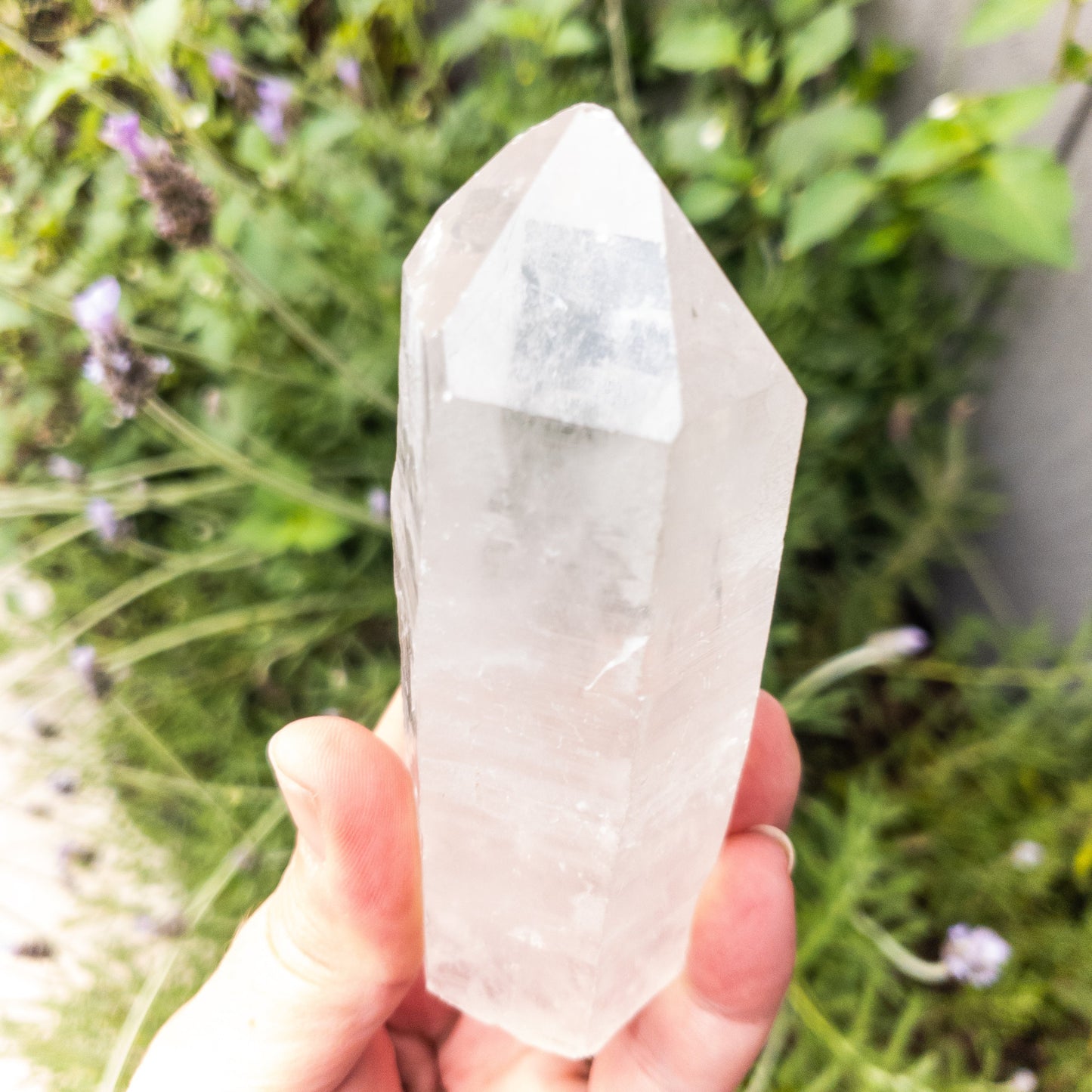Clear crystal held in a hand with a natural background of greenery and flowers