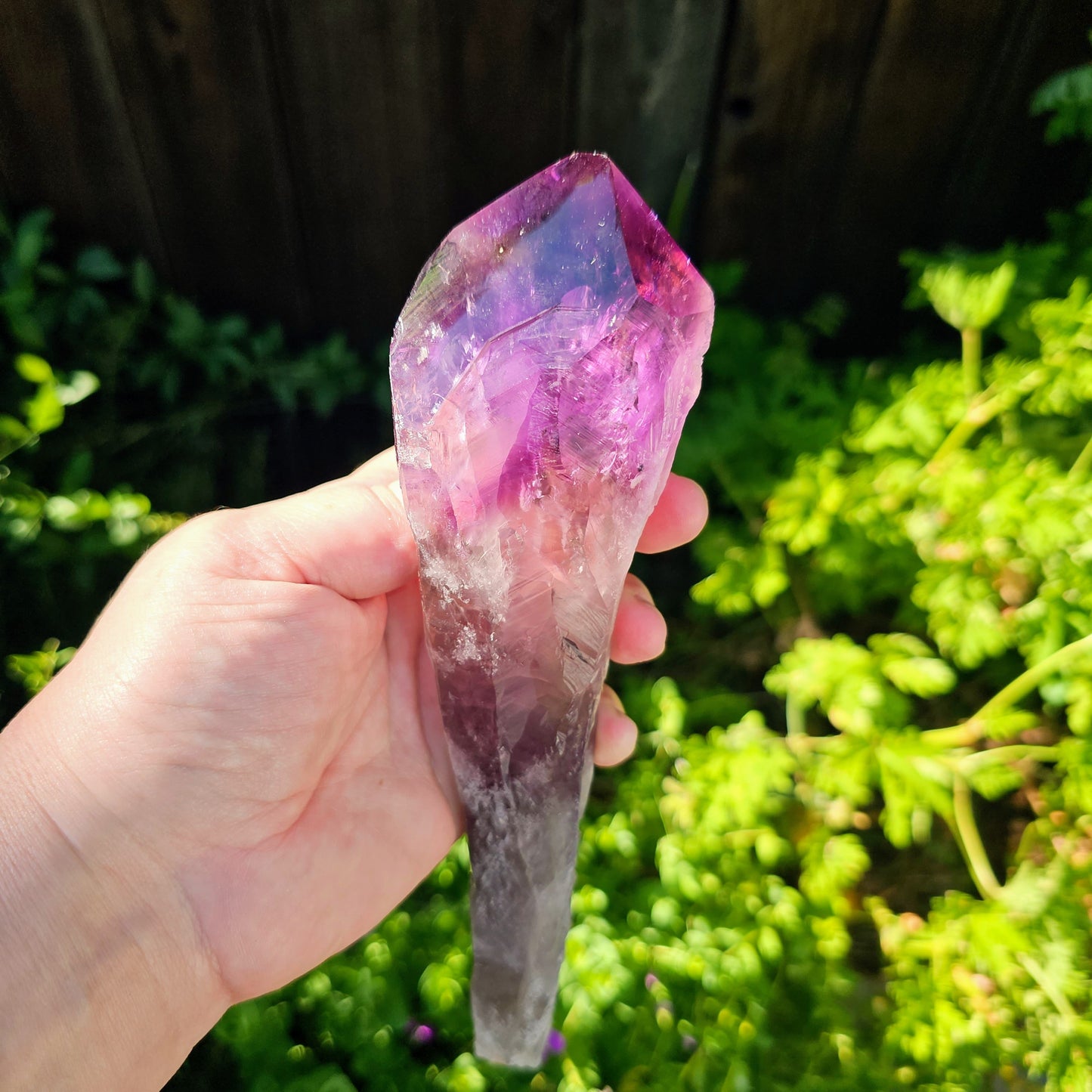 Hand holding an amethyst crystal with greenery in the background