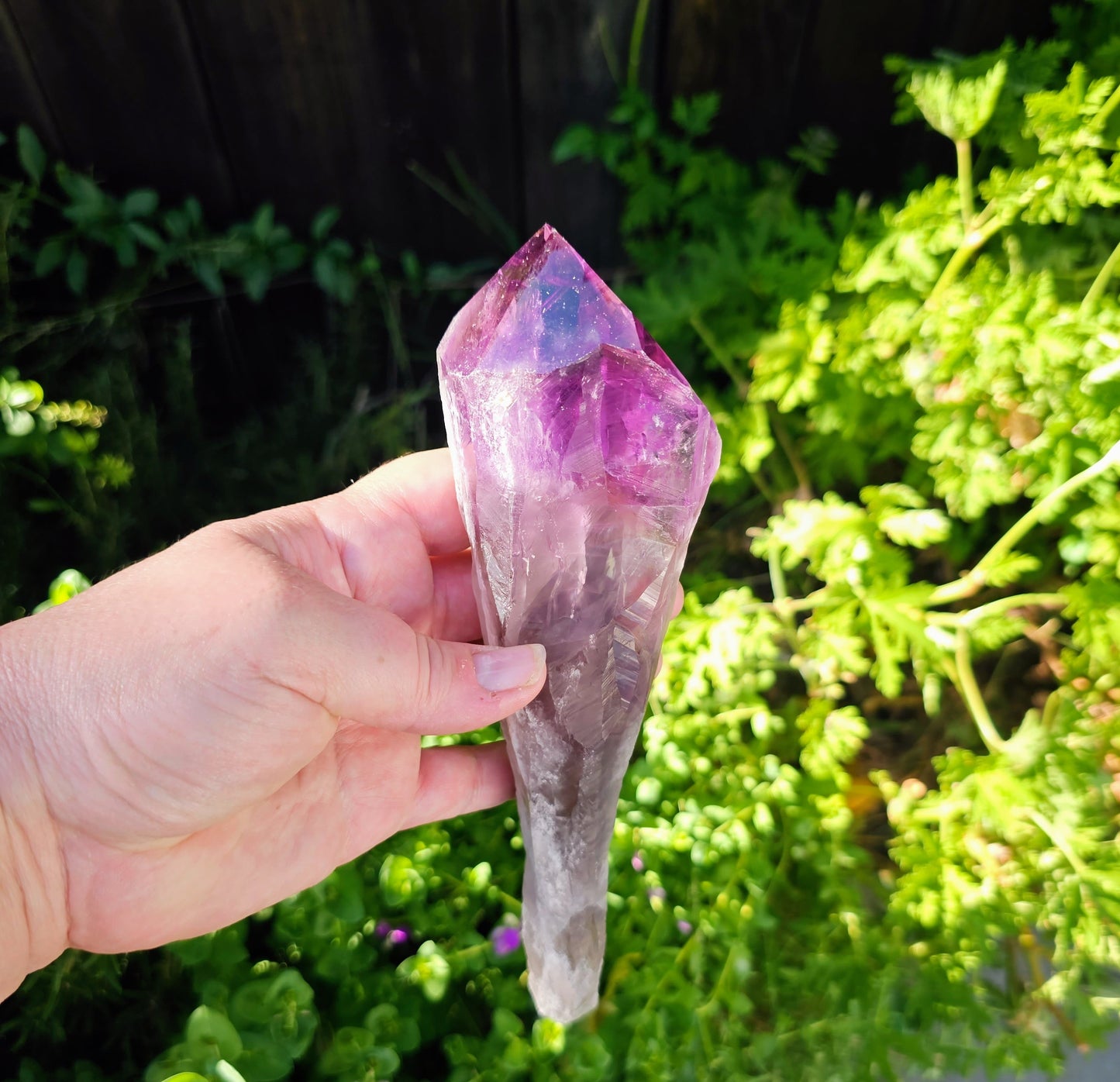 Hand holding an amethyst crystal against a green outdoor background