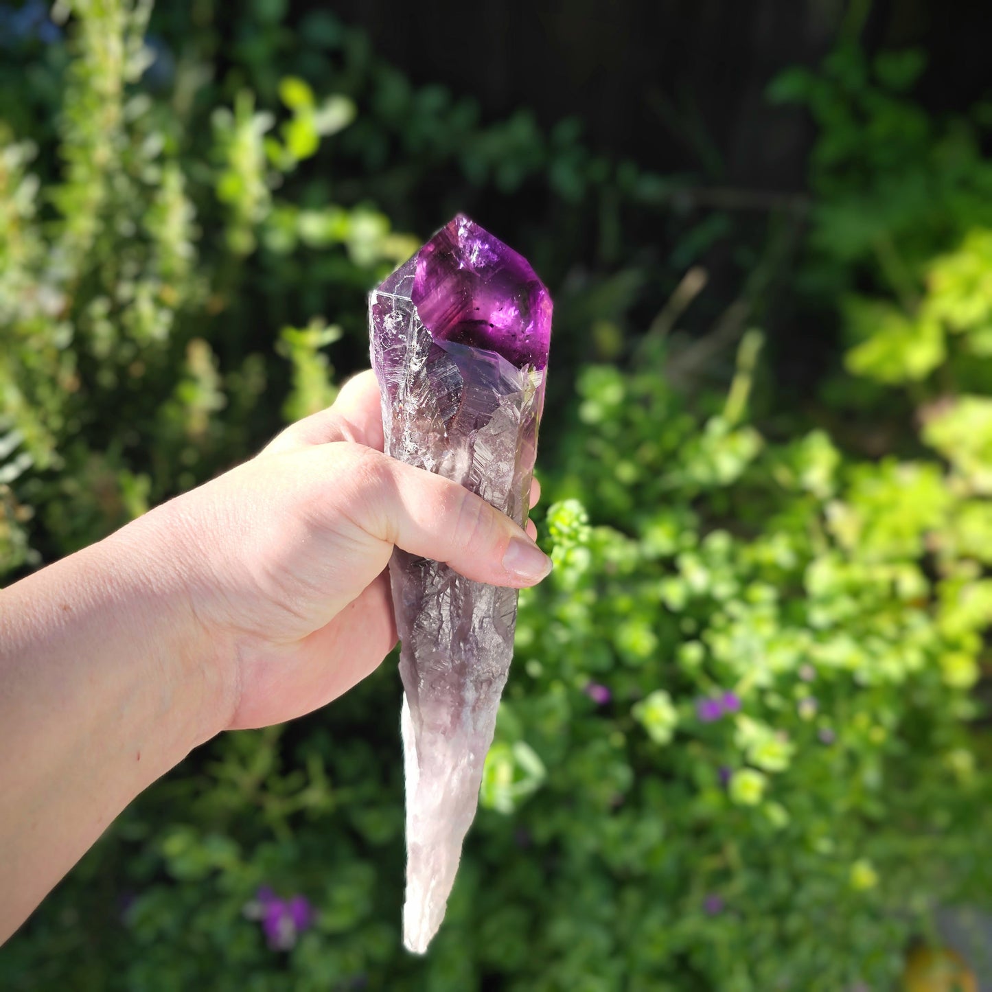 Hand holding an amethyst crystal against a green outdoor background