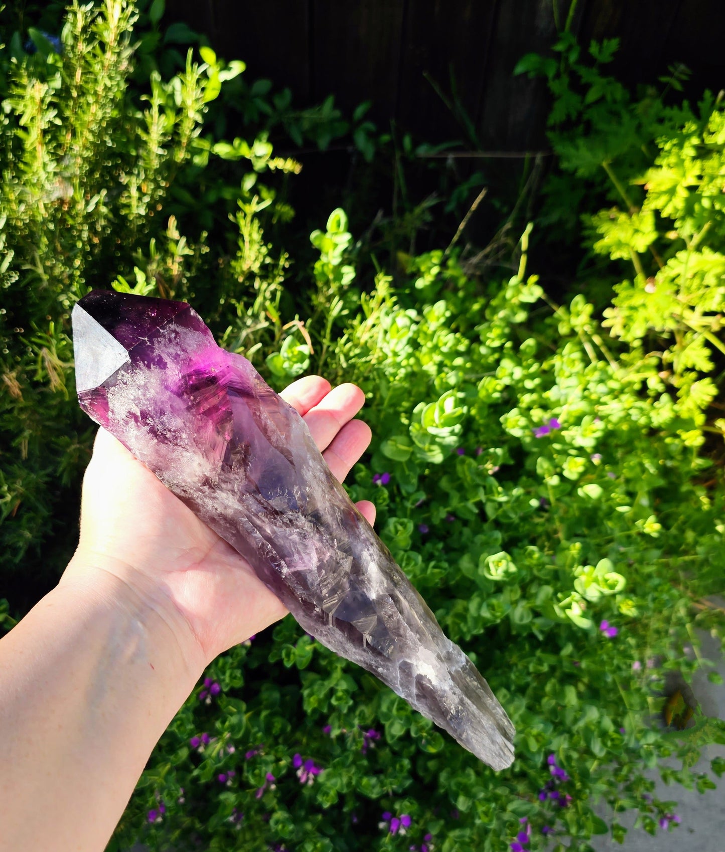 Hand holding an amethyst crystal with a green outdoor background