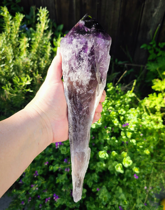 Hand holding a large amethyst crystal against a green outdoor background