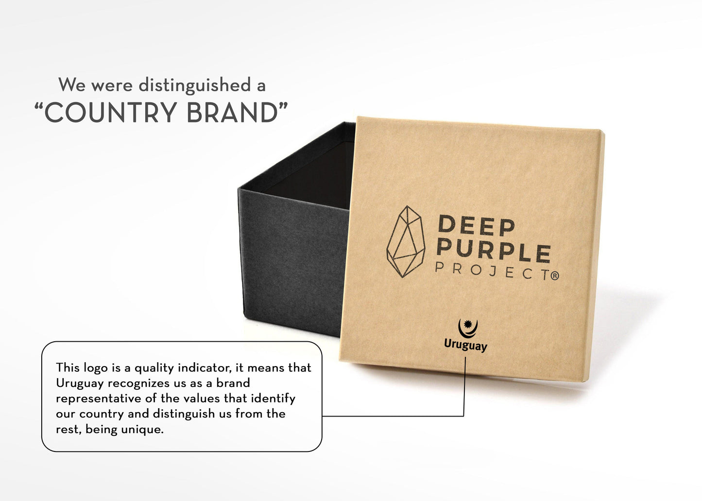 Kraft paper box with 'Deep Purple Project' logo on a white background