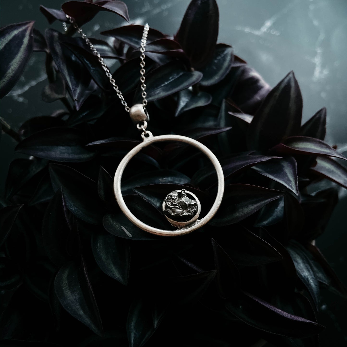 Necklace with a circular pendant on a dark leafy background