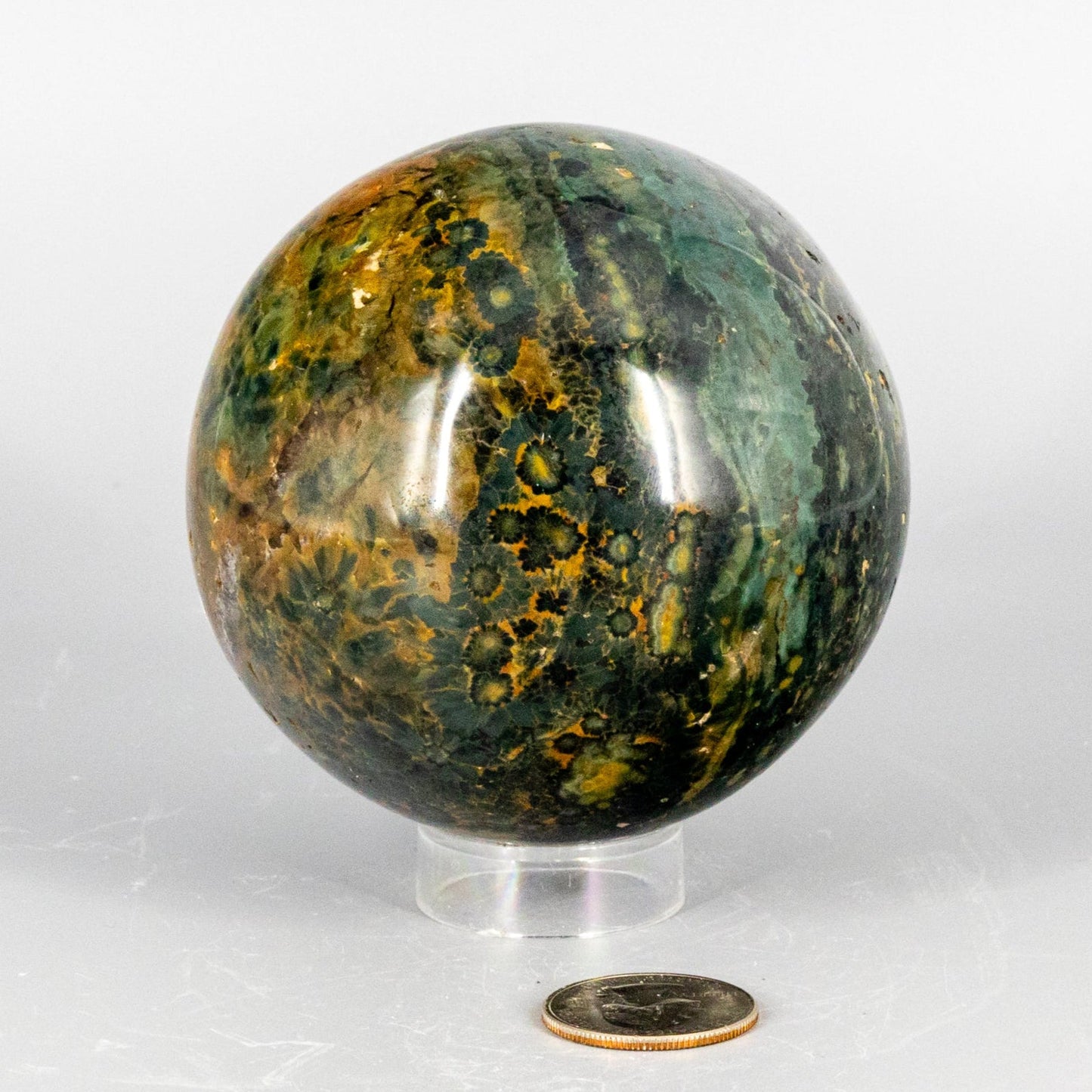 Marbled ocean jasper green and brown sphere on a white background with a coin for scale.