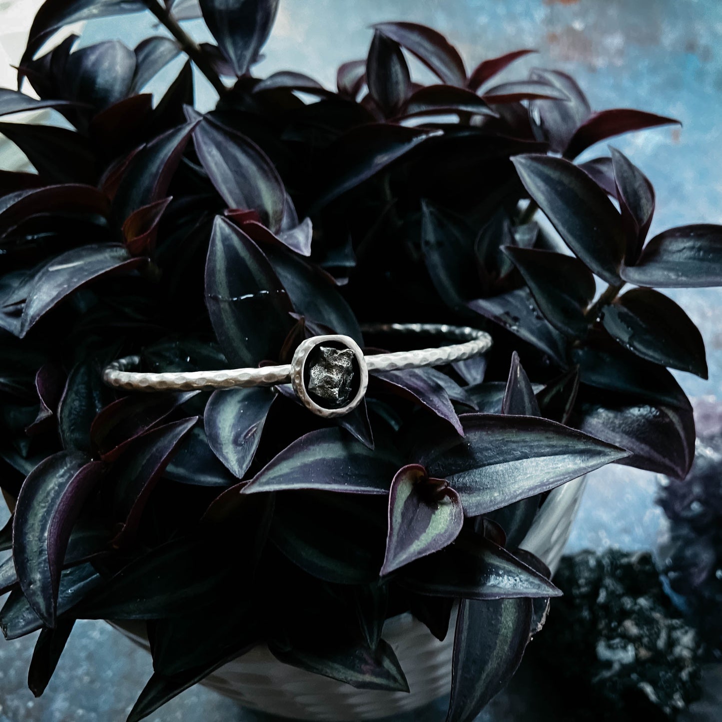 Bracelet with meteorite on a dark green leafy plant