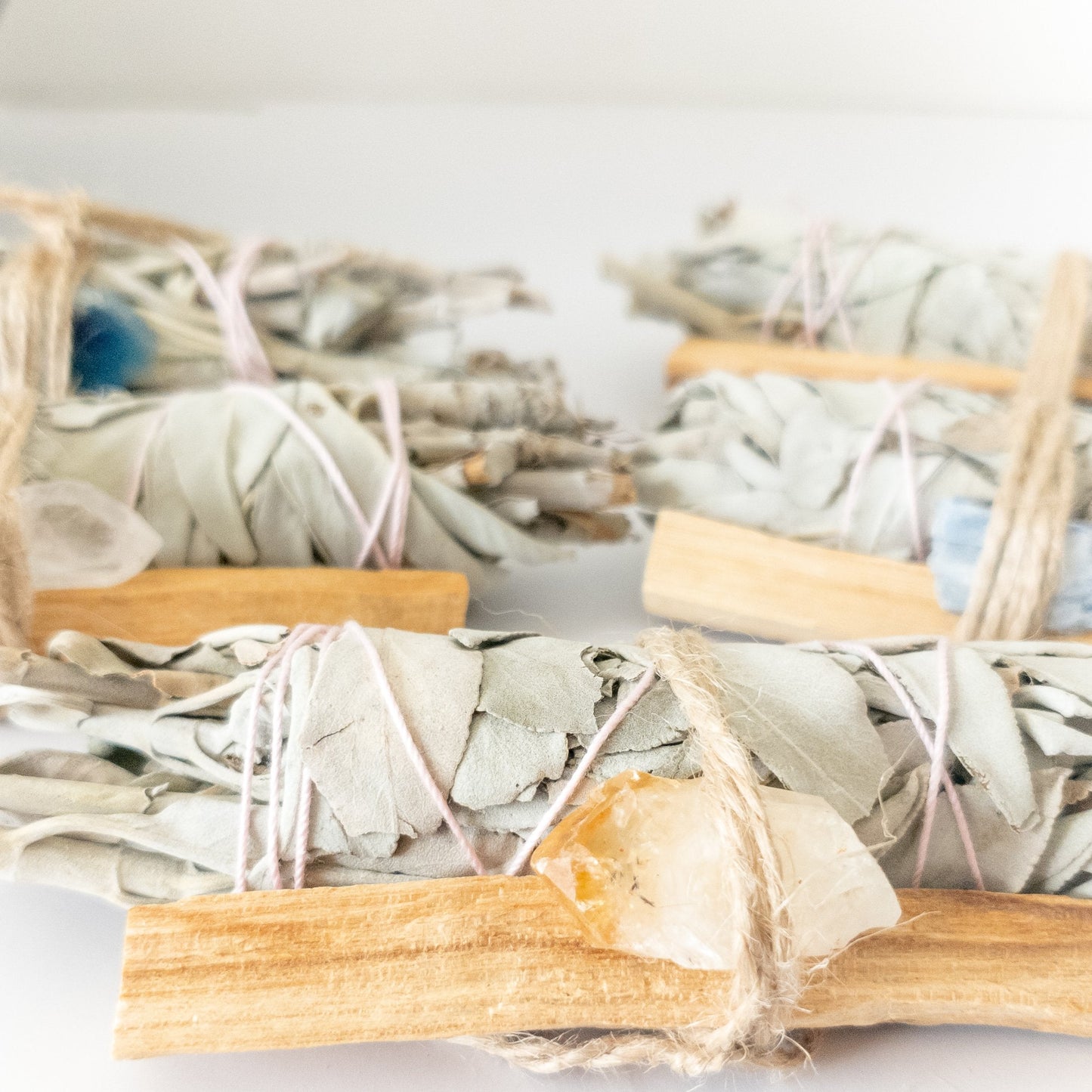 Bundles of sage with wooden sticks in clear bags on a white background