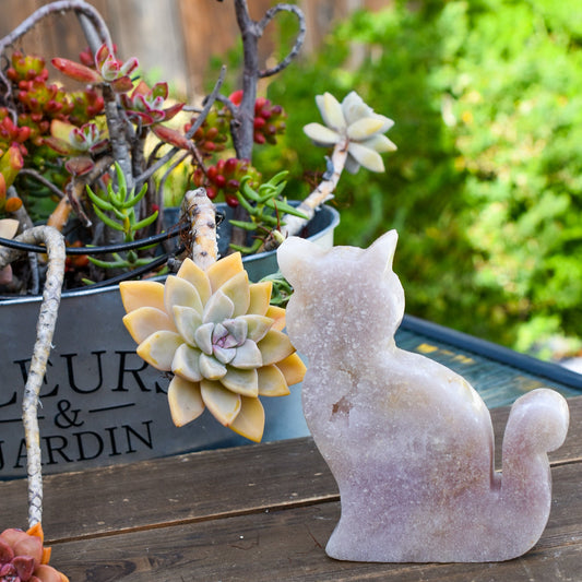 Pink Amethyst crystal cat