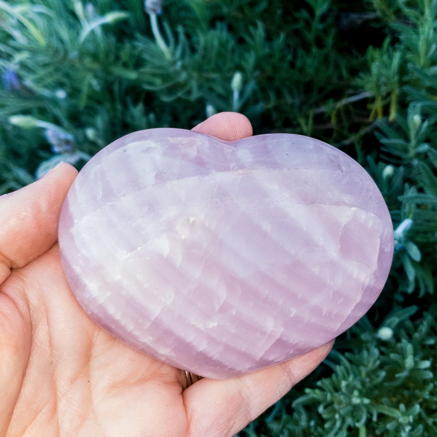 Heart-shaped rose quartz stone held in a hand with green foliage in the background