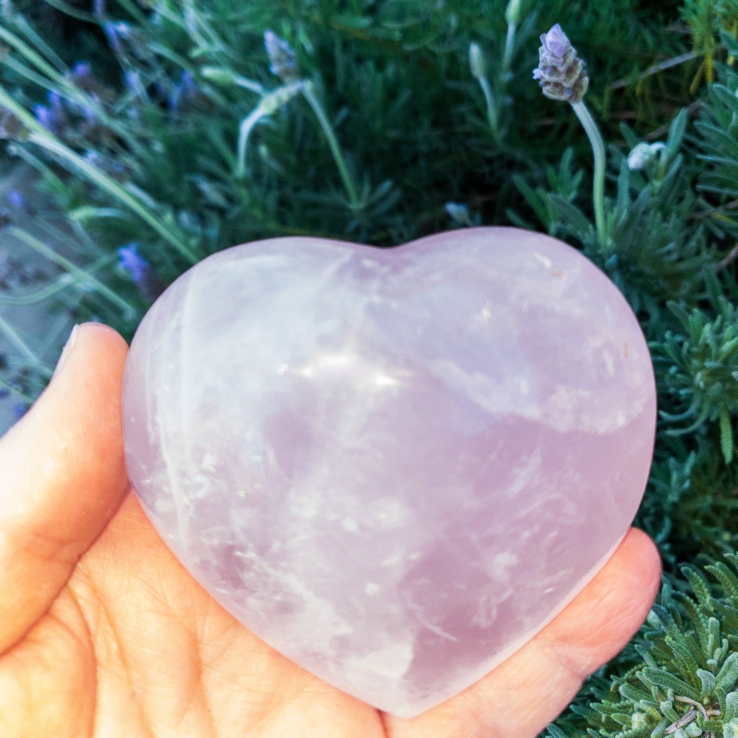Heart-shaped crystal held in a hand with lavender plants in the background