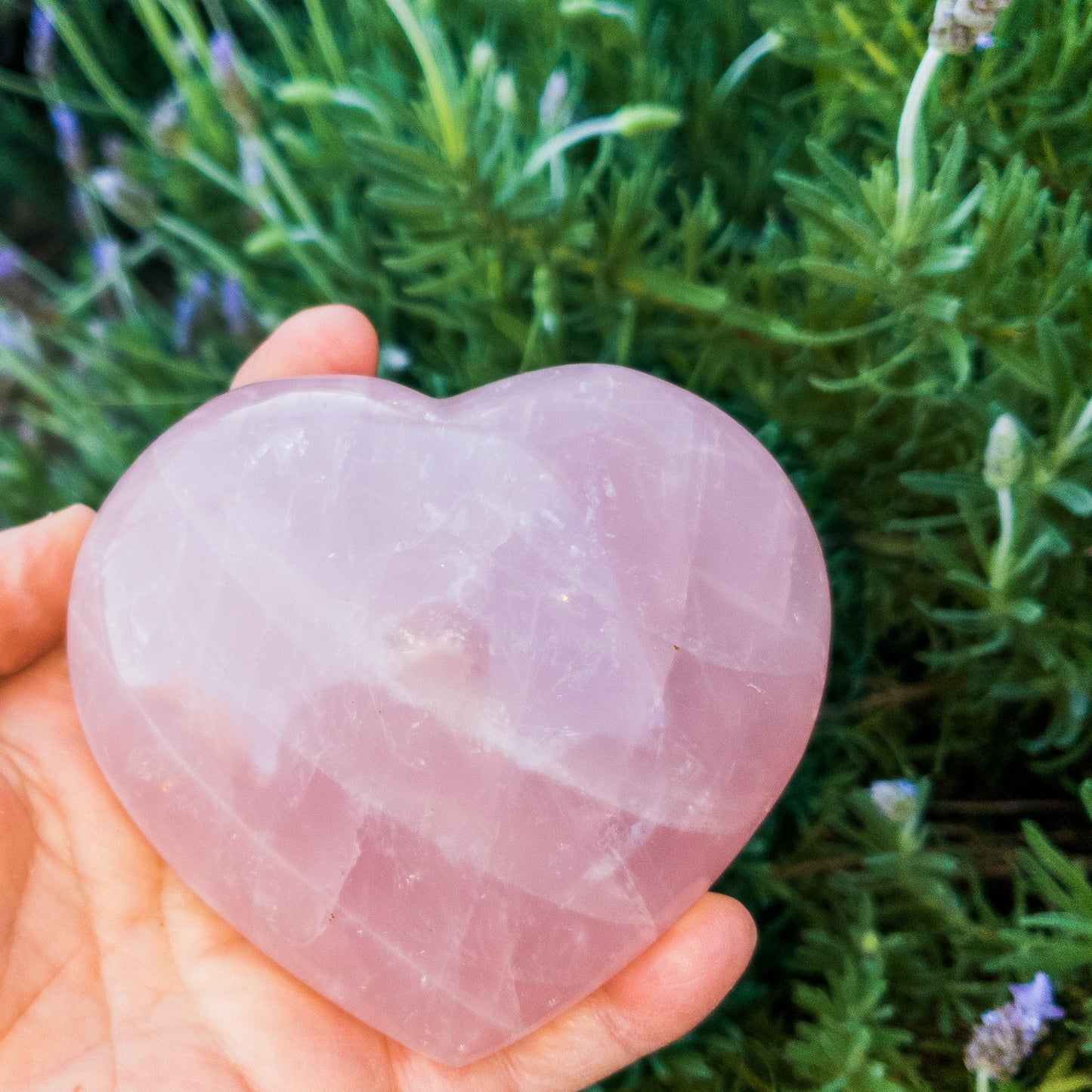 Heart-shaped pink crystal held in a hand with green foliage in the background