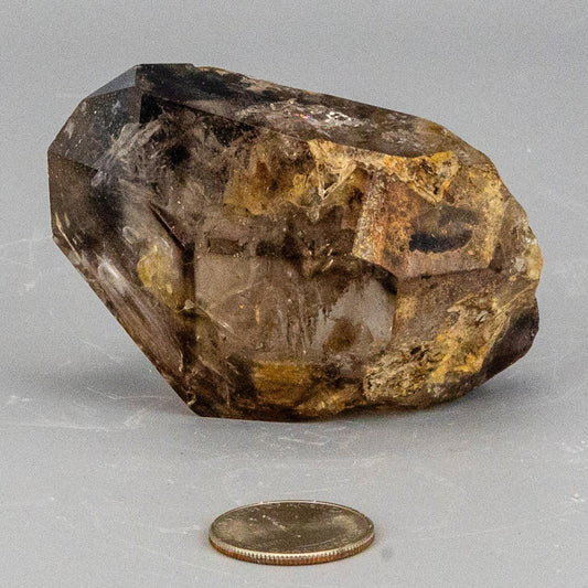 Skeletal Elestial Smoky Quartz Enhydro Point with Huge Bubble