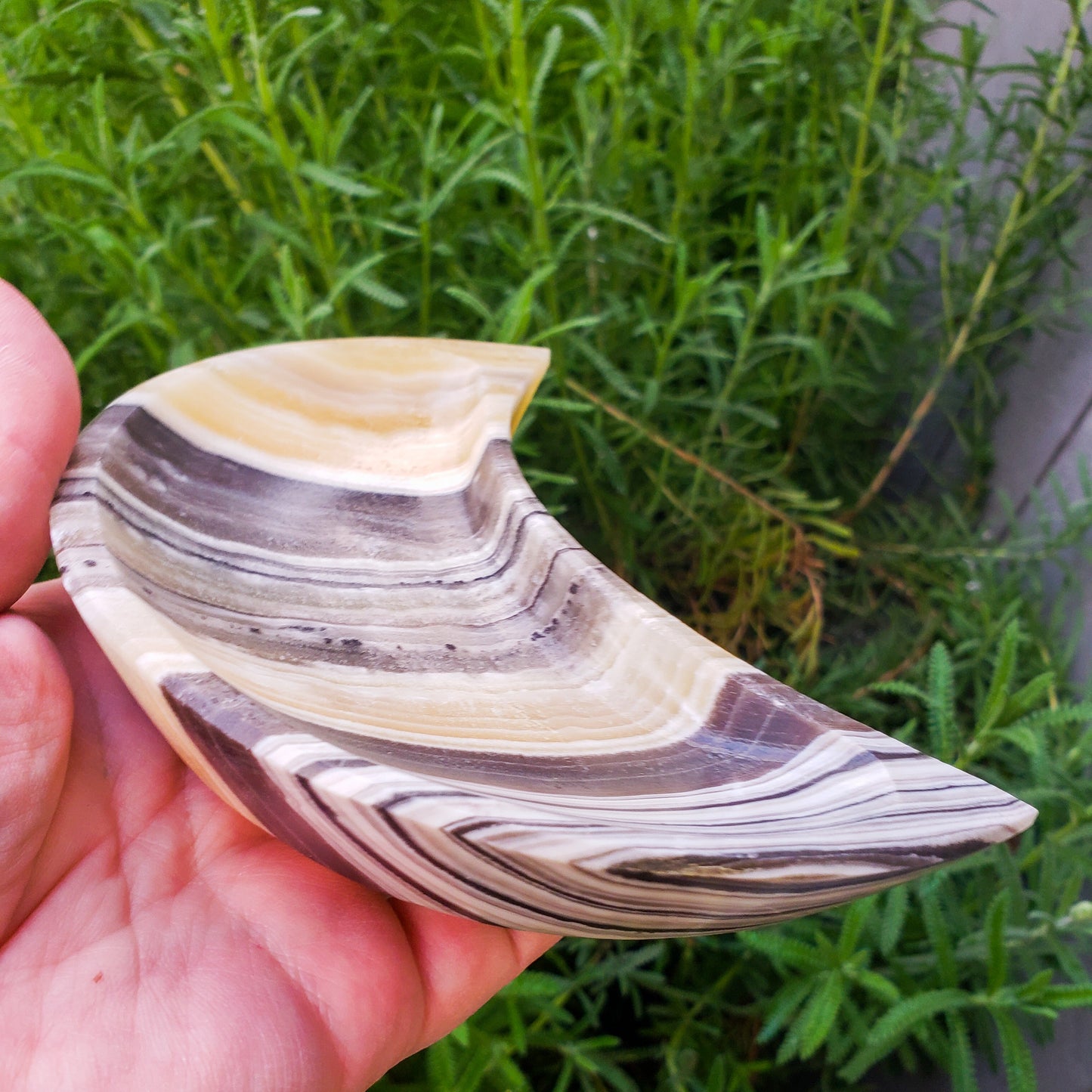 Zebra onyx moon bowl