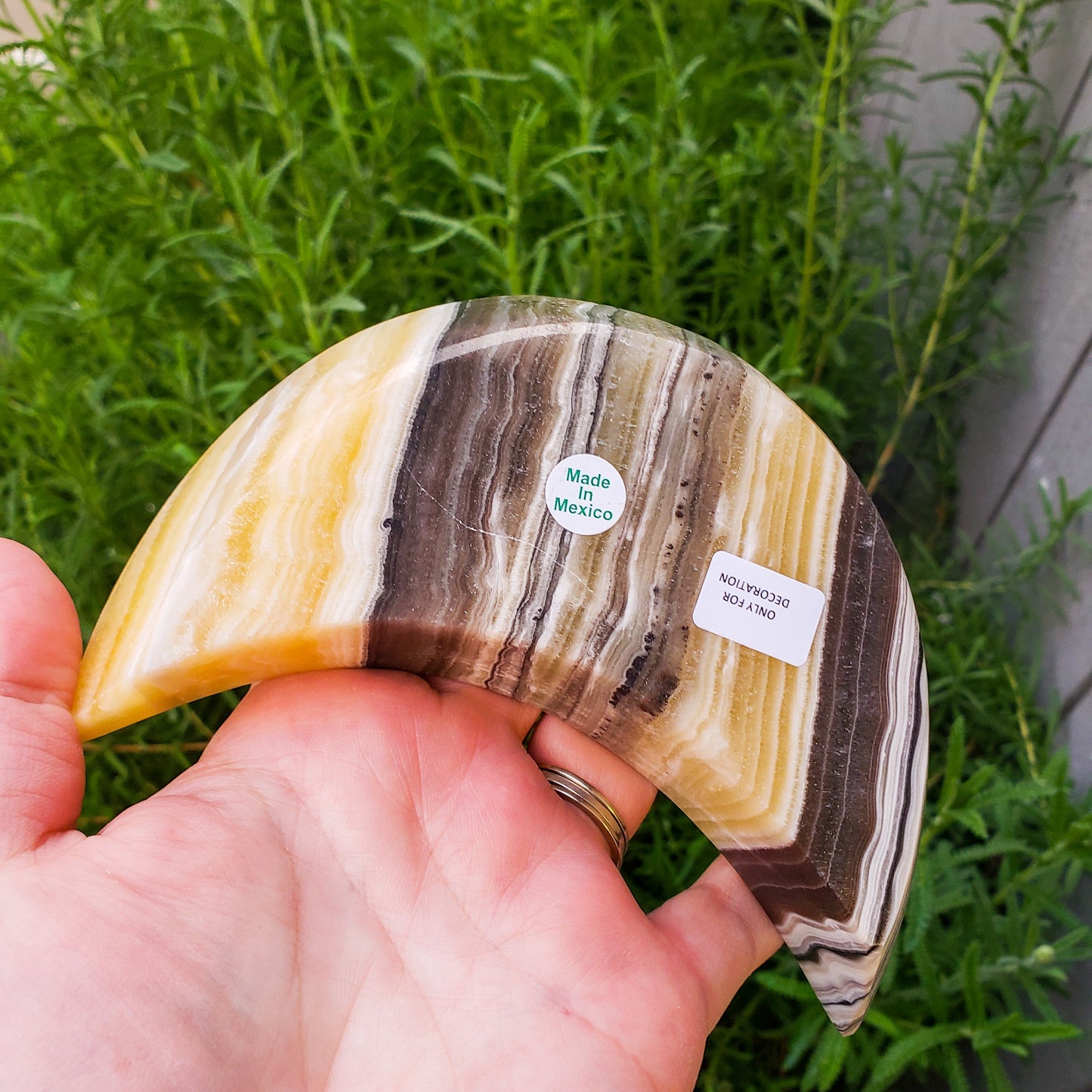 Zebra onyx moon bowl