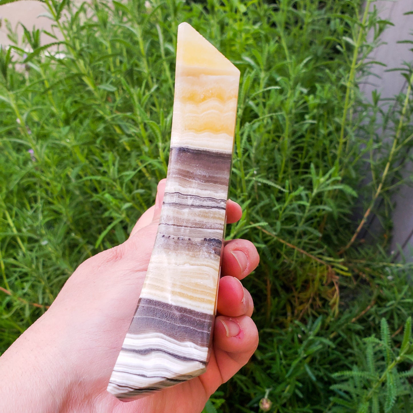 Zebra onyx moon bowl