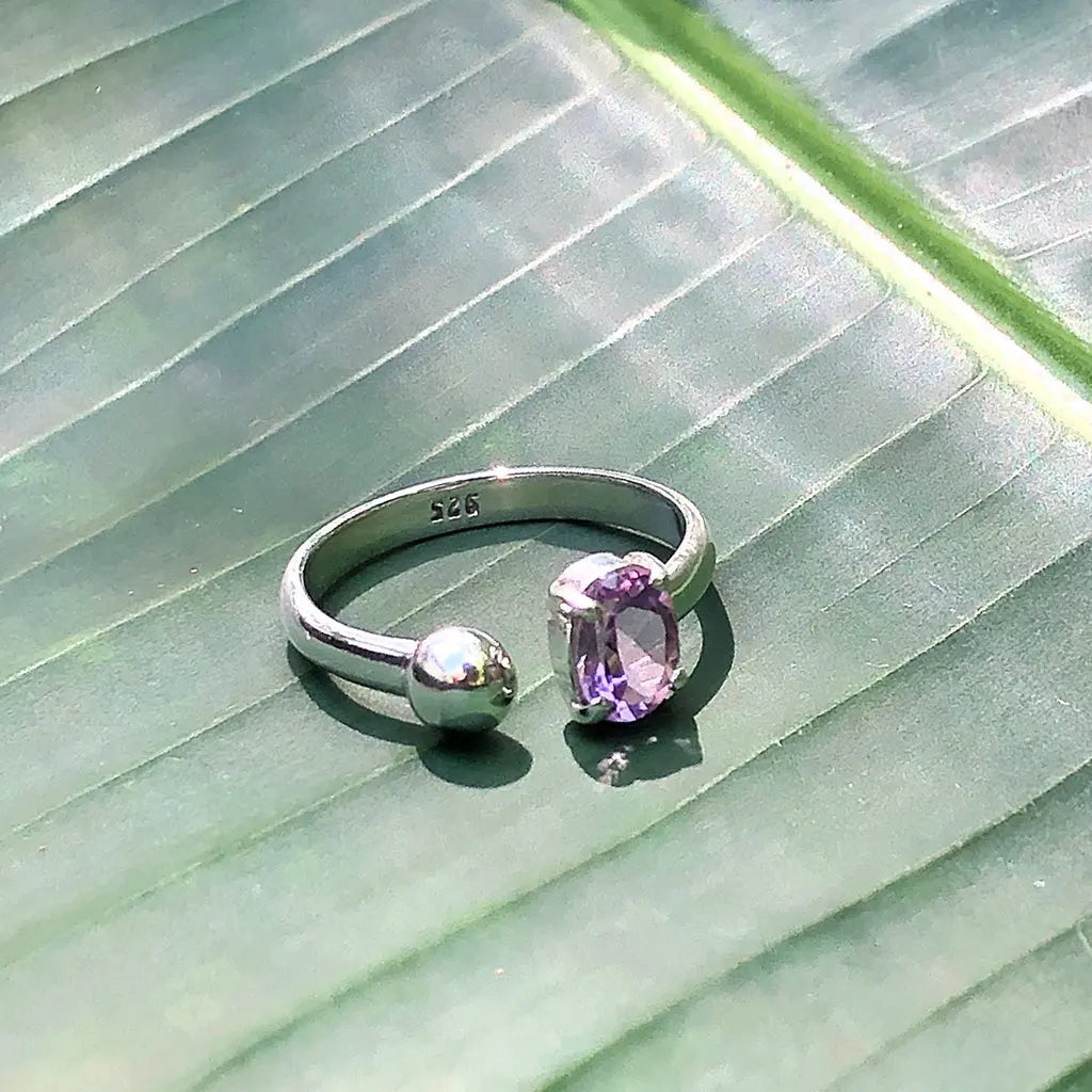 Silver ring with a purple gemstone on a green leaf