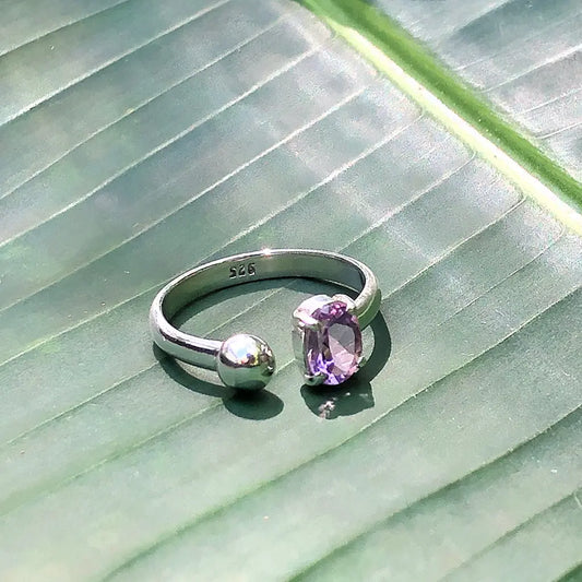 Silver ring with a purple gemstone on a green leaf