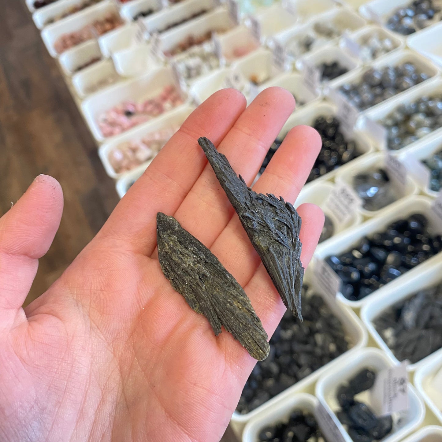 Black Kyanite (Cord Cutting) Rough Pocket Stone
