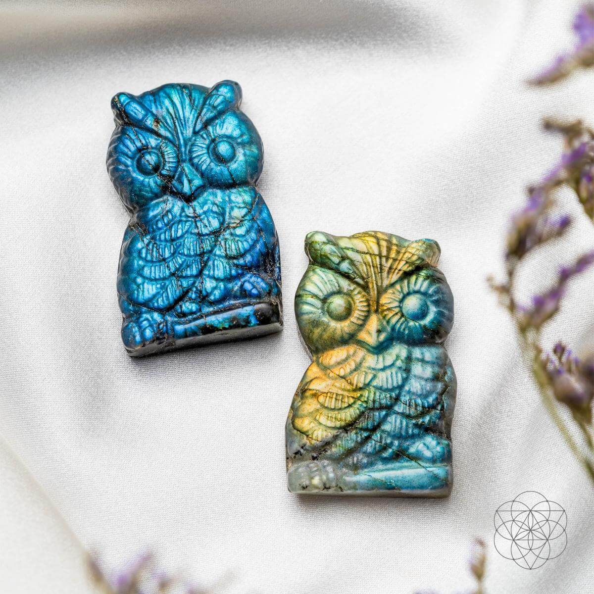 token-of-wisdom-labradorite-owl-talisman close up
