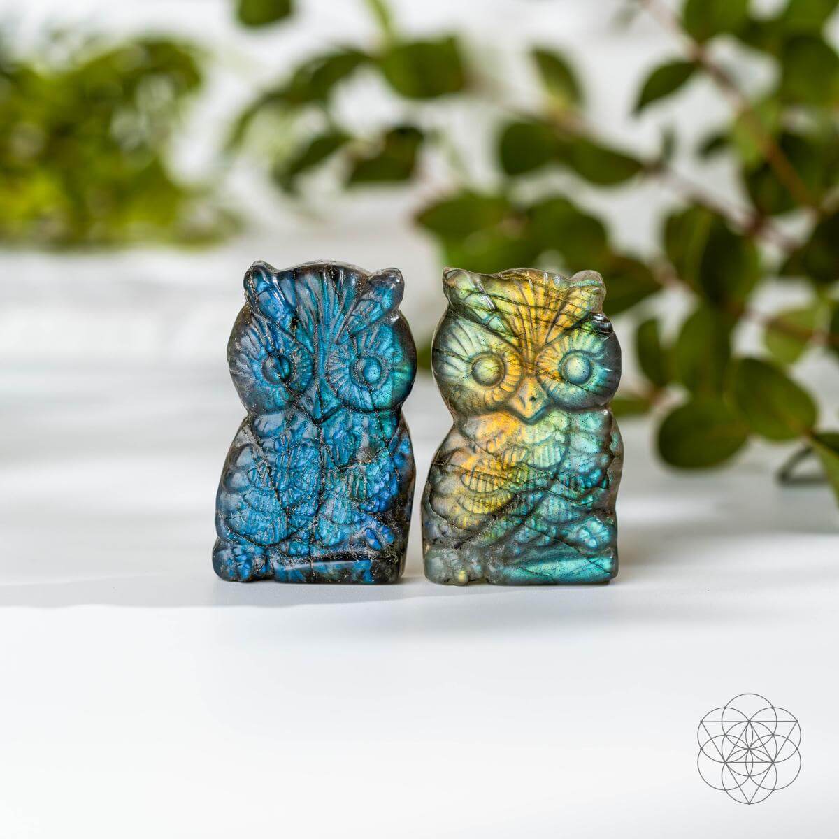 token-of-wisdom-labradorite-owl-talisman front