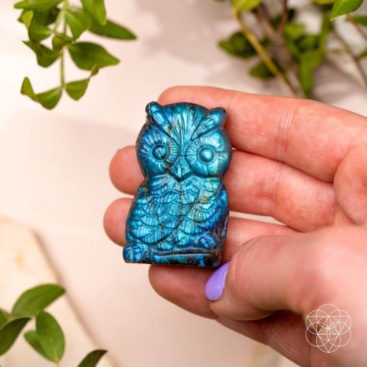 Hand holding a blue owl-shaped stone with green leaves in the background