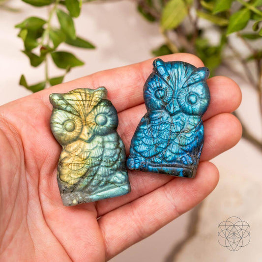 token-of-wisdom-labradorite-owl-talisman