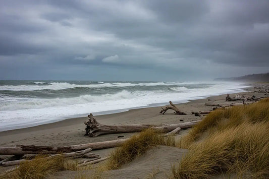 Witnessing the Majesty and Might: King Tides in Ocean Shores, Washington - Ethereal Essentials