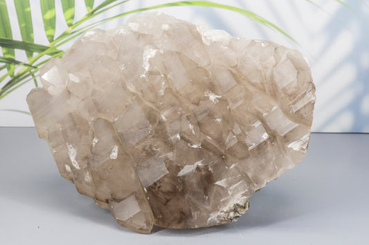 Quartz Crystal rock on a light gray surface with a blurred green plant in the background