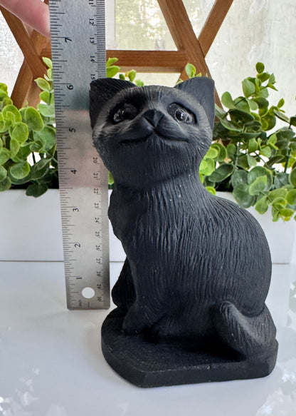 Huge Black Obsidian Cat 6", Sitting Black Cat Carving, Witchy Familiar, for Truth & Protection