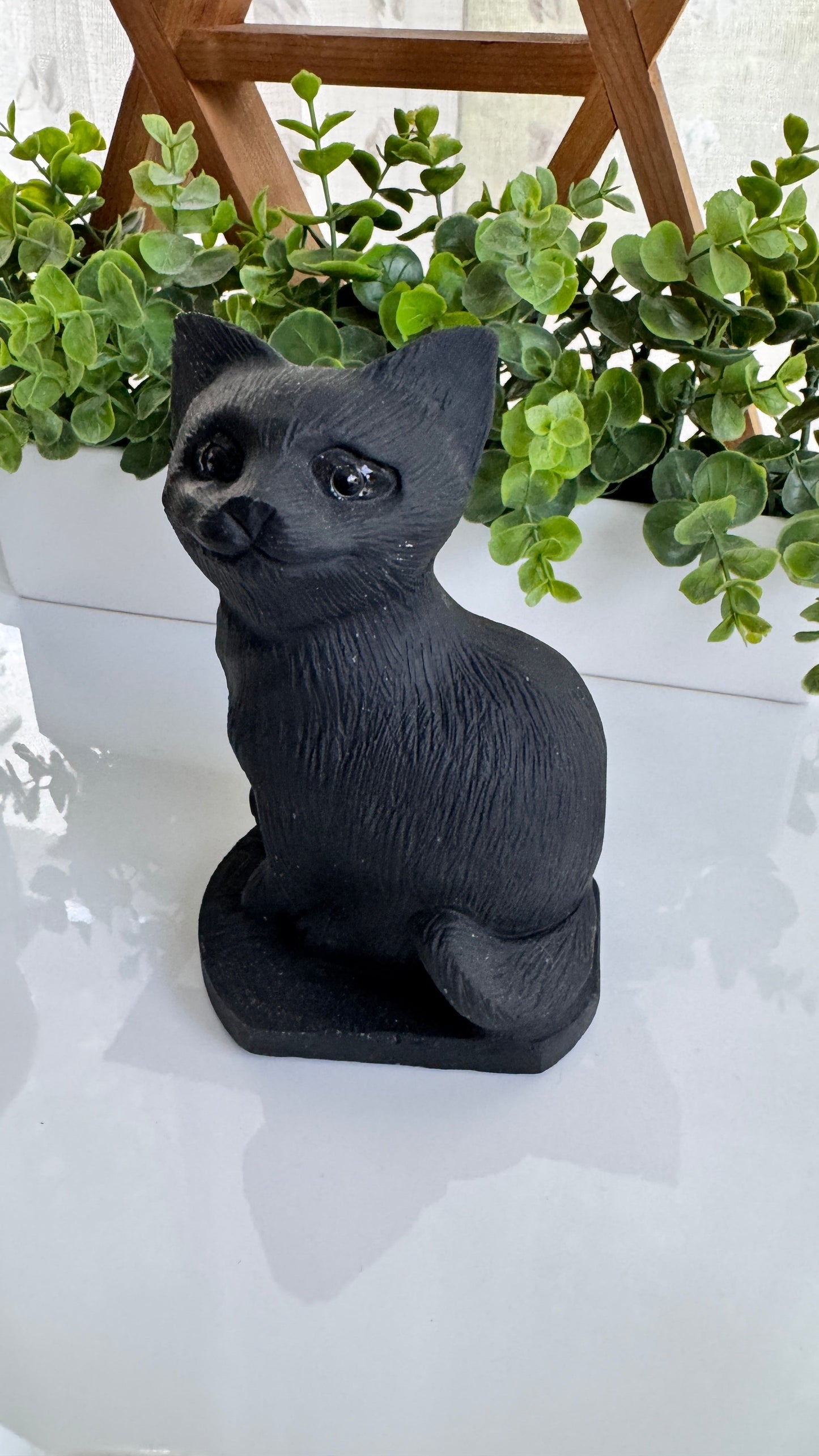 Huge Black Obsidian Cat 6", Sitting Black Cat Carving, Witchy Familiar, for Truth & Protection