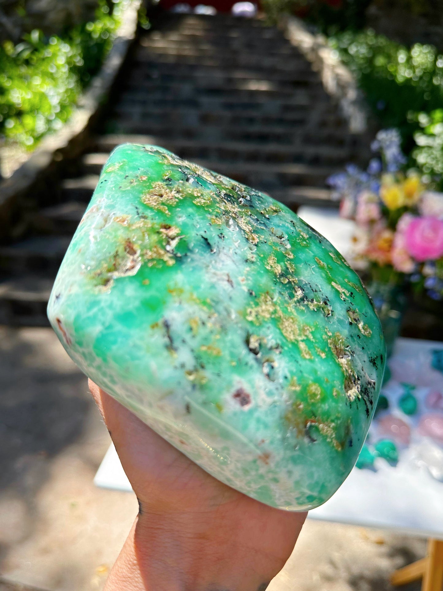 Chrysoprase Freeform - from Australia