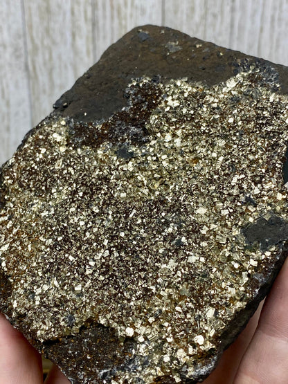 Pyrite on Shungite Raw Layered Plate | Brazil