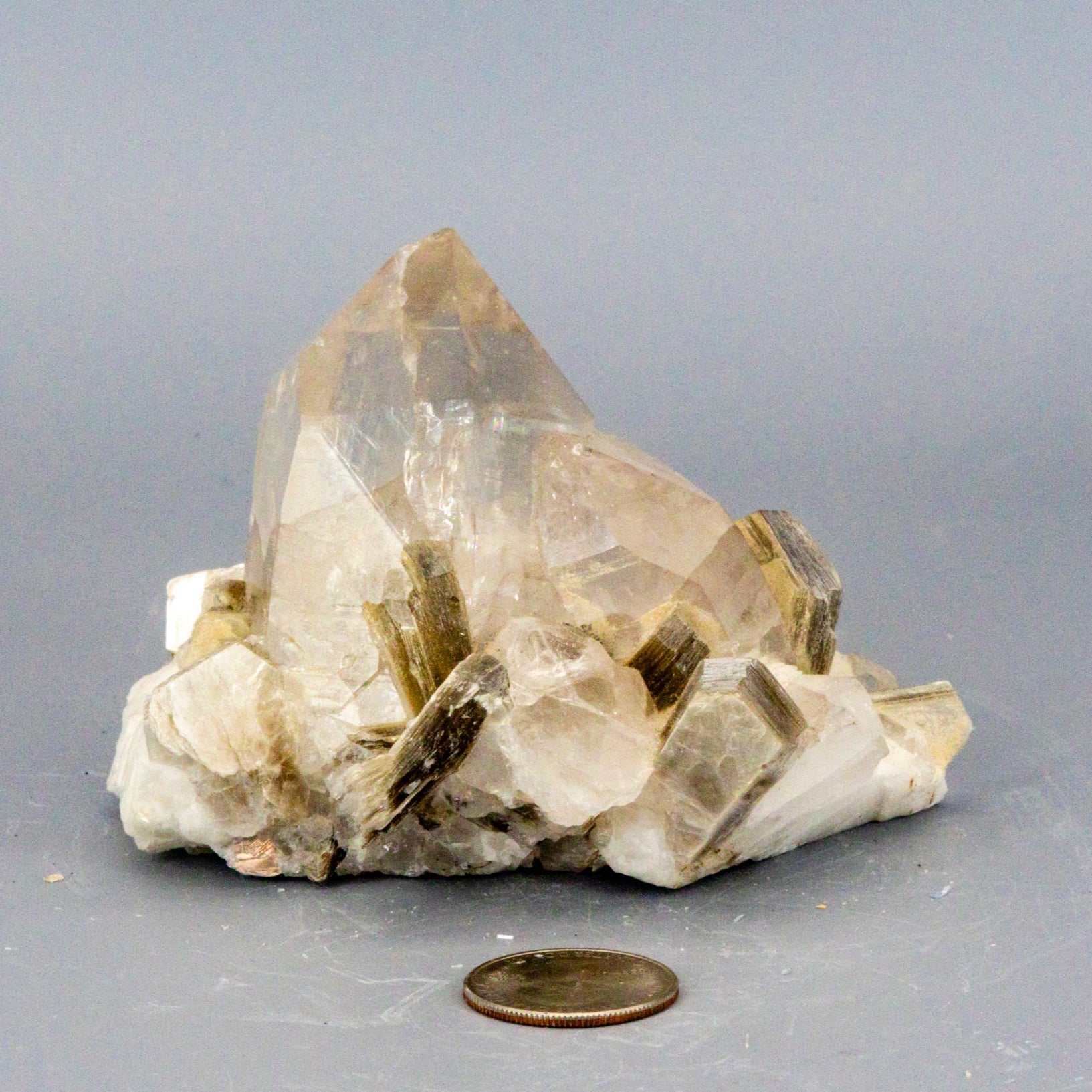 Clear quartz crystal formation with a penny for scale on a gray background