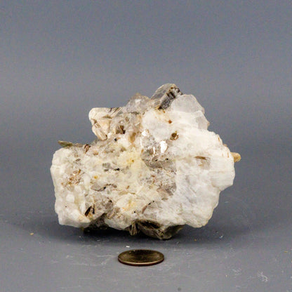 Clear quartz with book muscovite mica stone on a gray background with a coin for scale