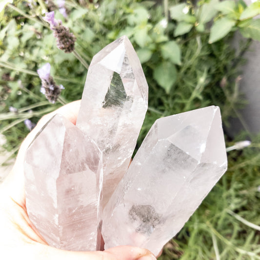 Clear crystal rock held in hand with greenery in the background