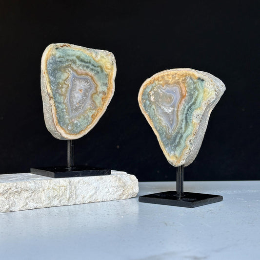 Colorful Jasper set on Stand 