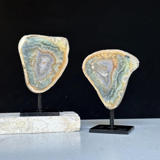 Colorful Jasper set on Stand 