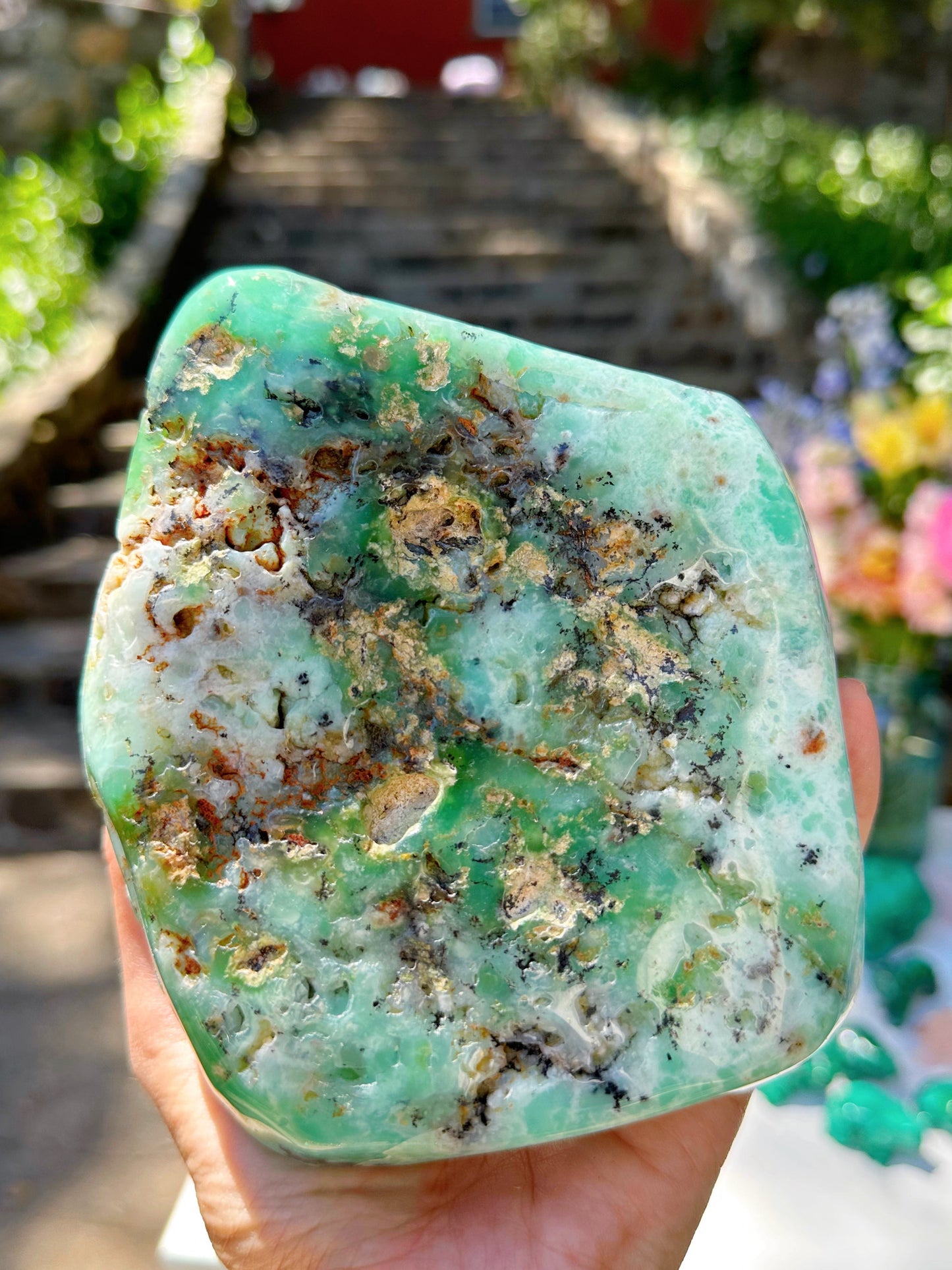 Chrysoprase Freeform - from Australia