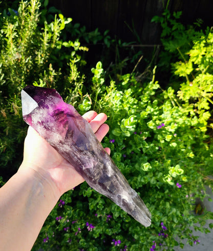 Hand holding an amethyst crystal with a green outdoor background