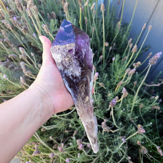 Hand holding an amethyst crystal in front of lavender plants
