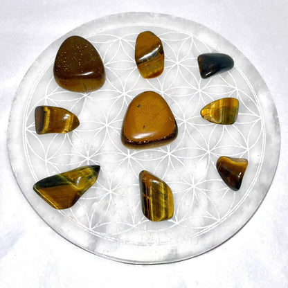 Tiger Eye Tumbled Pocket Stone