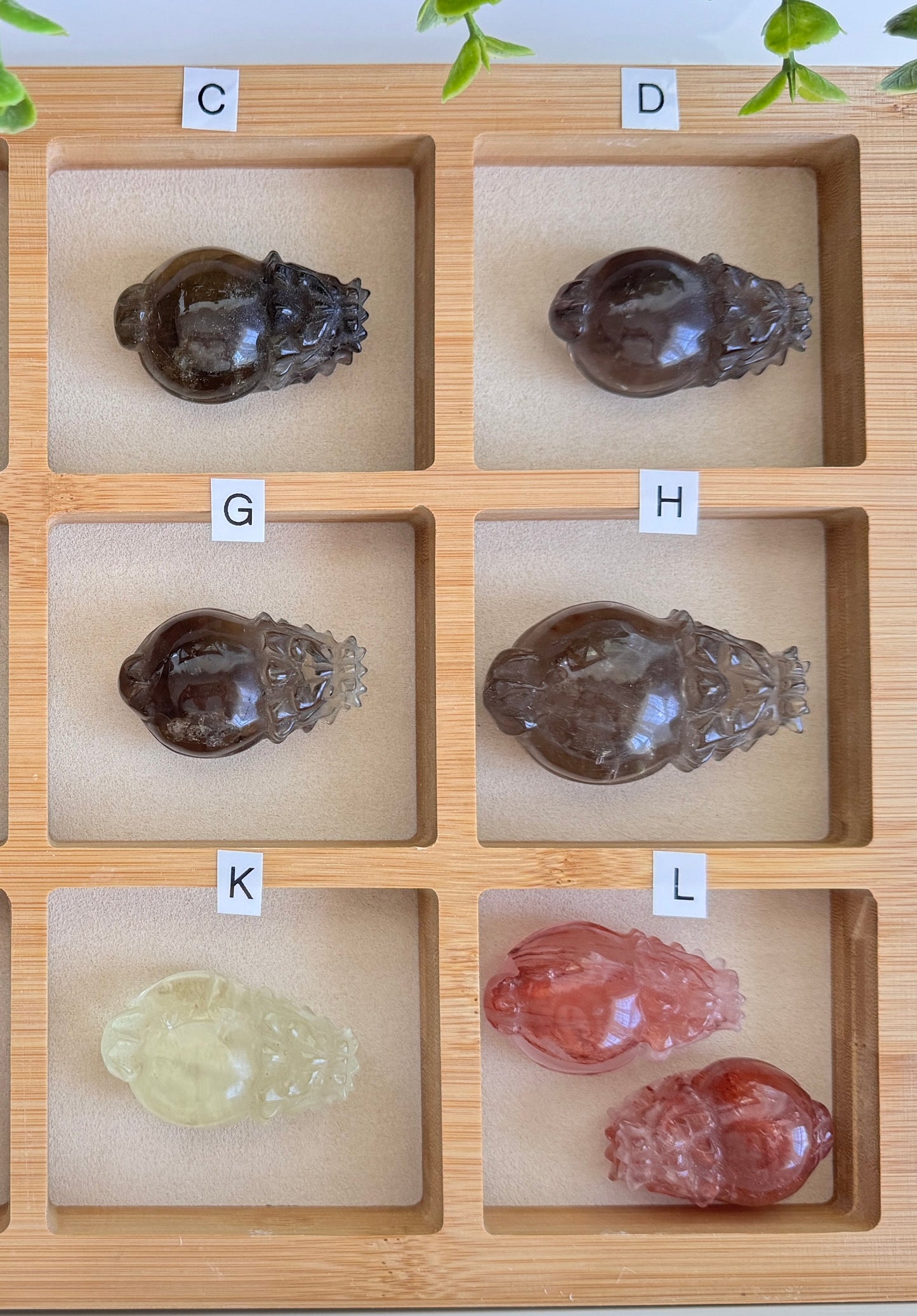 Lucky Dragon Turtle Crystal to Align with Your Purpose, Medium