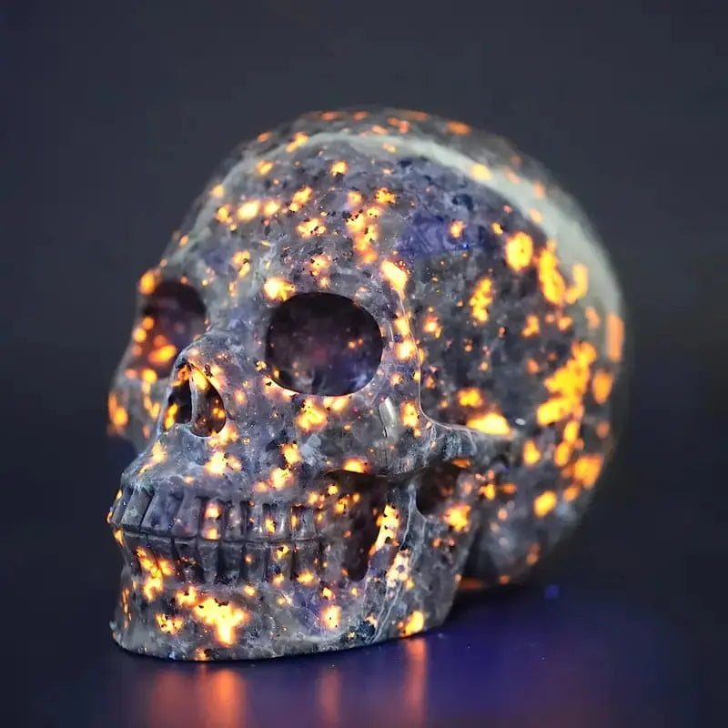 Yooperlite Skull The Science Museum of Minnesota