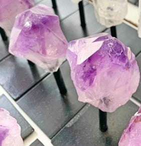 Close-up of amethyst crystal points on a tiled floor