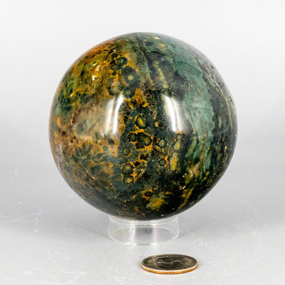 Marbled ocean jasper green and brown sphere on a white background with a coin for scale.