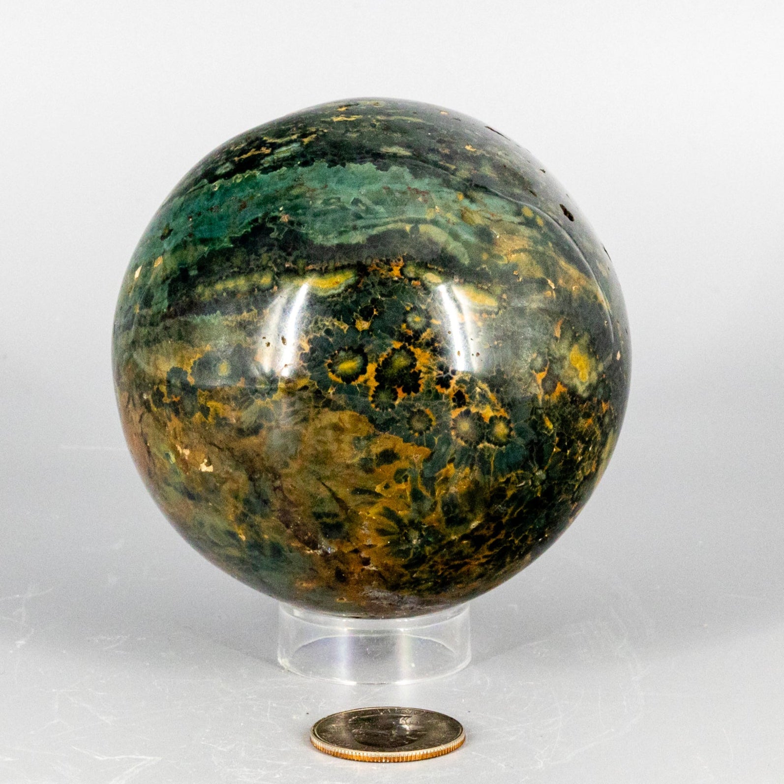 Green and brown marbled ocean jasper sphere on a white background with a coin for scale.