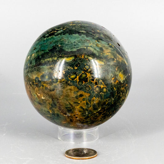 Green and brown marbled ocean jasper sphere on a white background with a coin for scale.